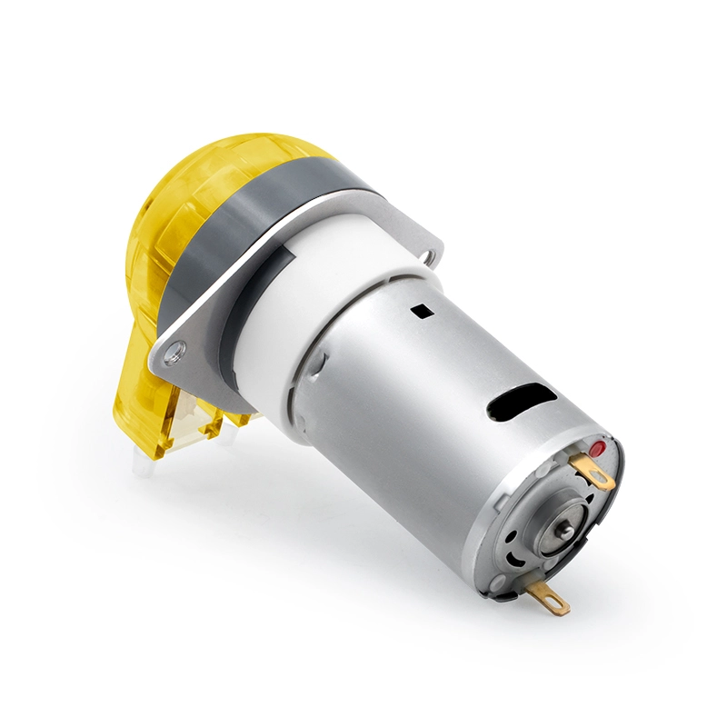 Bomba peristáltica con motor DC LFP102/DB (Rango de flujo: 9-110 ml/min)