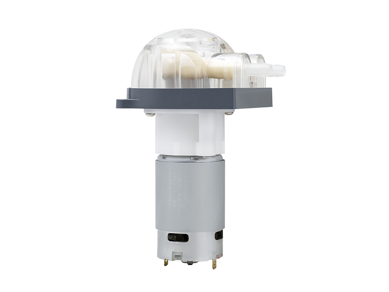 Bomba peristáltica de motor DC LFP303A/DB (Rango de flujo: 210-730 ml/min)